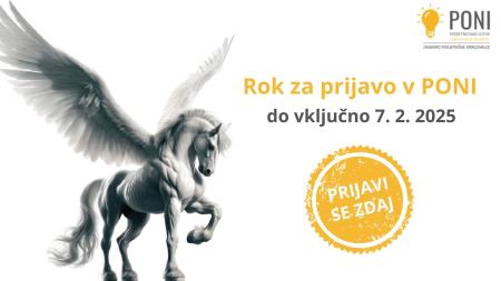 PROJEKT PONI JV SLOVENIJA: RAZPIS ZA VKLJUČITEV UDELEŽENCEV